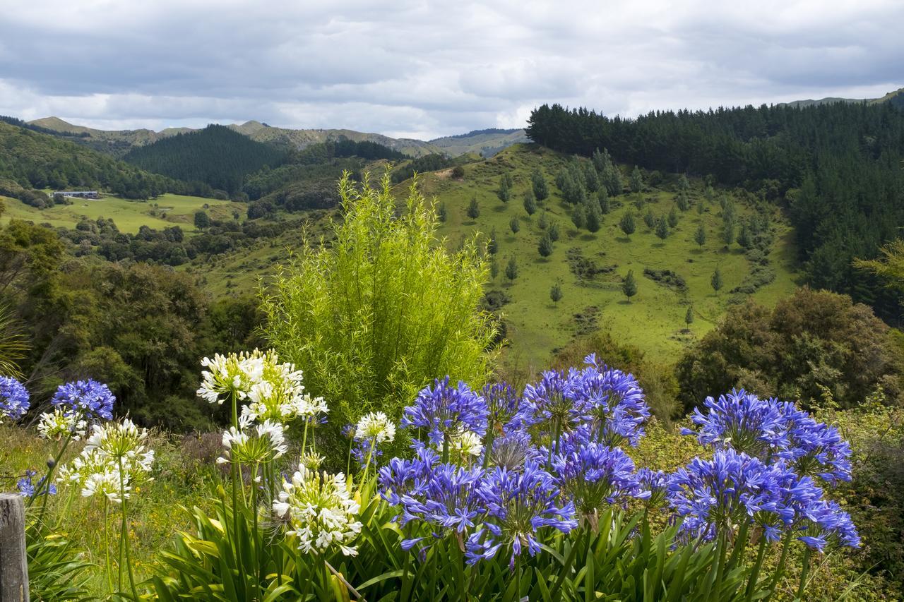 Villa Shemshi Gisborne Esterno foto